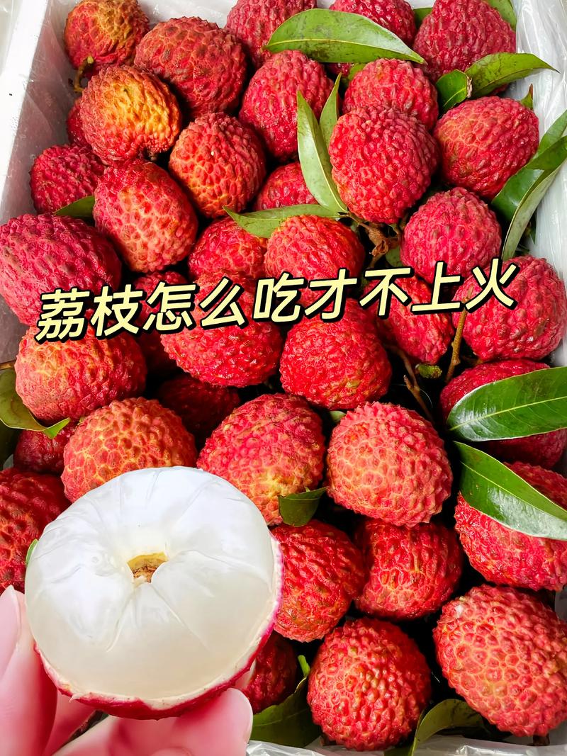 新澳今天最新消息和荔枝冷藏再吃不上火与荔枝冷藏半个月还能吃吗