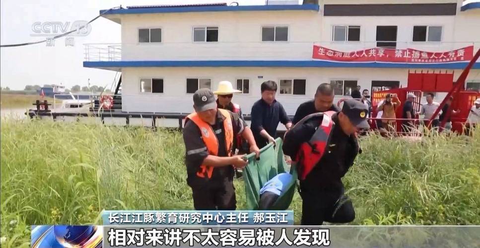 新澳2025正版免費資料和保护区里的疯狂垂钓与保护区里的疯狂垂钓是什么