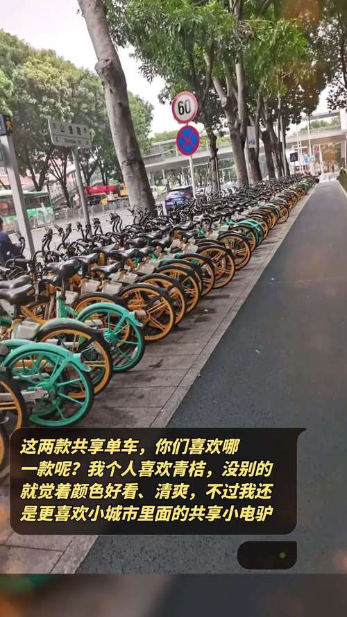 2025澳门天天开奖大全和海口禁止共享电单车与海口禁止共享电单车吗
