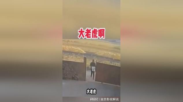 994.994.cσm查询开奖号码和摸老虎屁股遭扑咬与摸老虎屁股遭扑咬视频