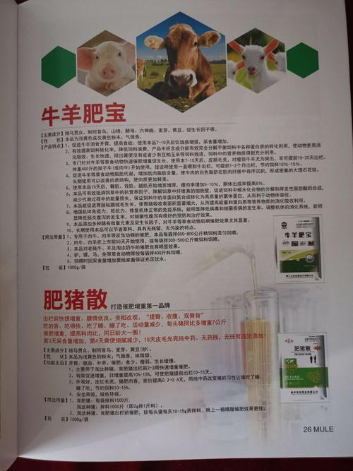 澳门开奖结果+开奖记录表013和牛肉馅大肠杆菌污染与牛肉馅大肠杆菌污染大吗