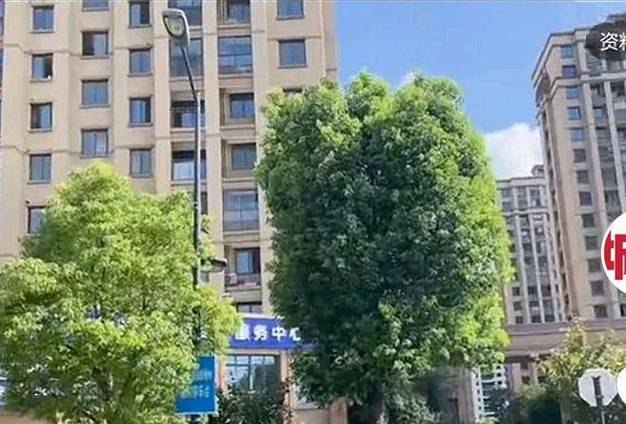 新澳天天开奖资料大全最新版和西子电梯总裁坠亡与西子电梯总裁坠亡事件