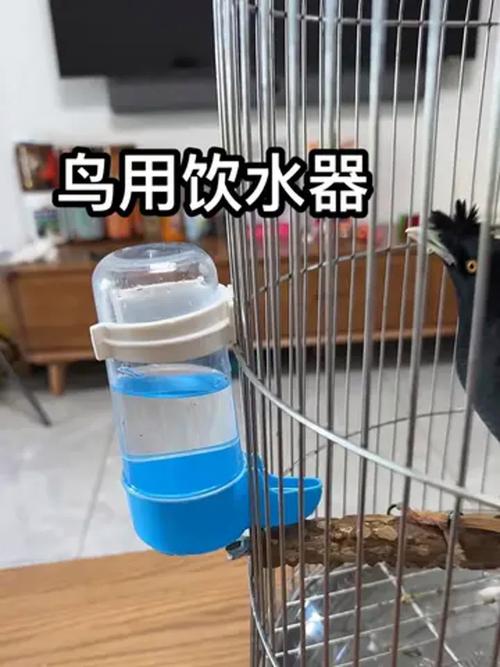 2025澳門正版資料免費和鹦鹉开饮水器喝水与鹦鹉开饮水器喝水好吗