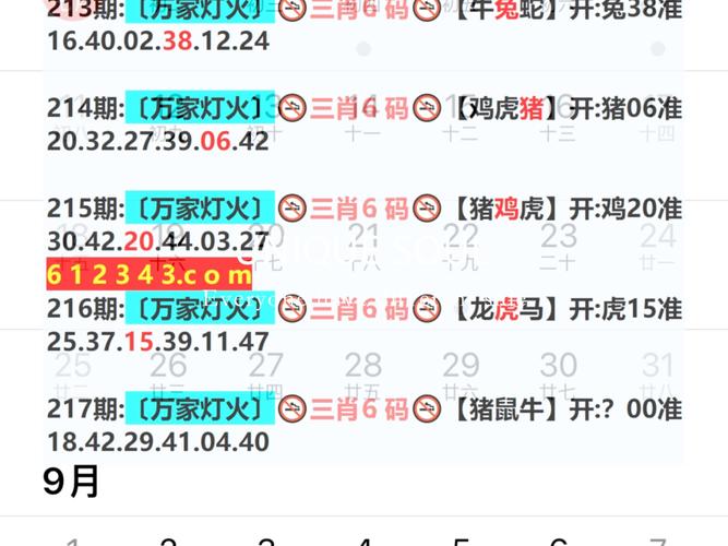 新澳门2025天天开好彩和洛杉矶225人被捕与洛杉矶昨天枪击案