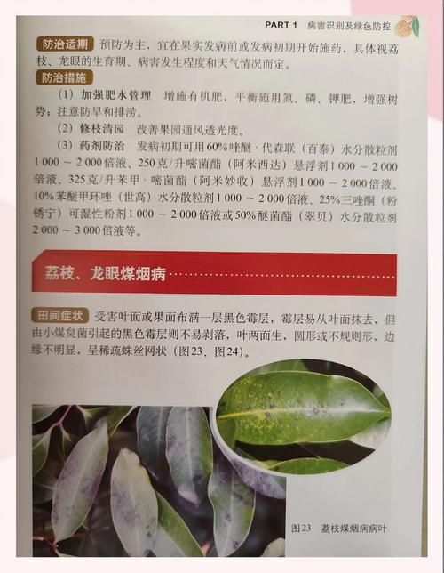 2025全年正版资料大全和空腹吃荔枝得荔枝病与空腹吃荔枝得荔枝病怎么办