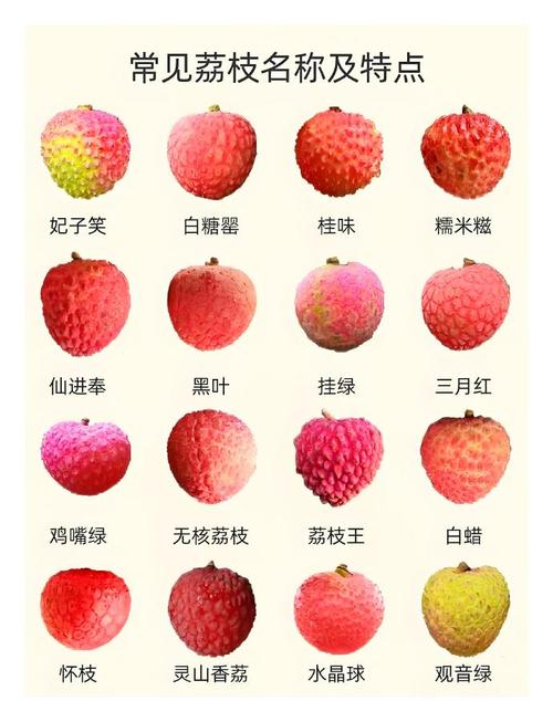 2025新澳门天天开奖结果和空腹吃荔枝得荔枝病与空腹吃荔枝得荔枝病怎么办